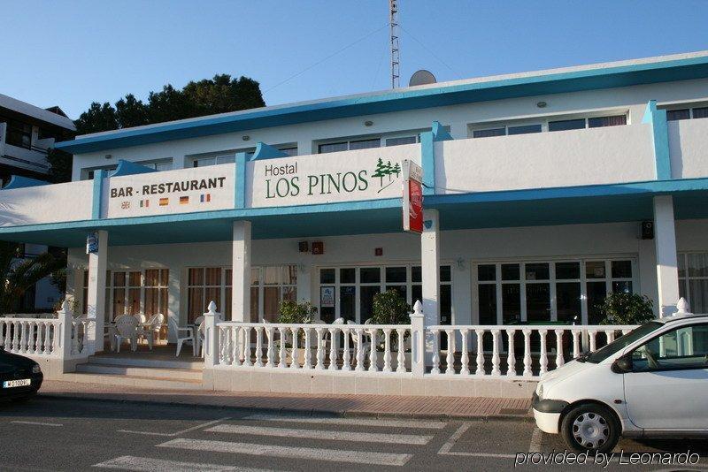 Hostal Los Pinos Es Cana المظهر الخارجي الصورة